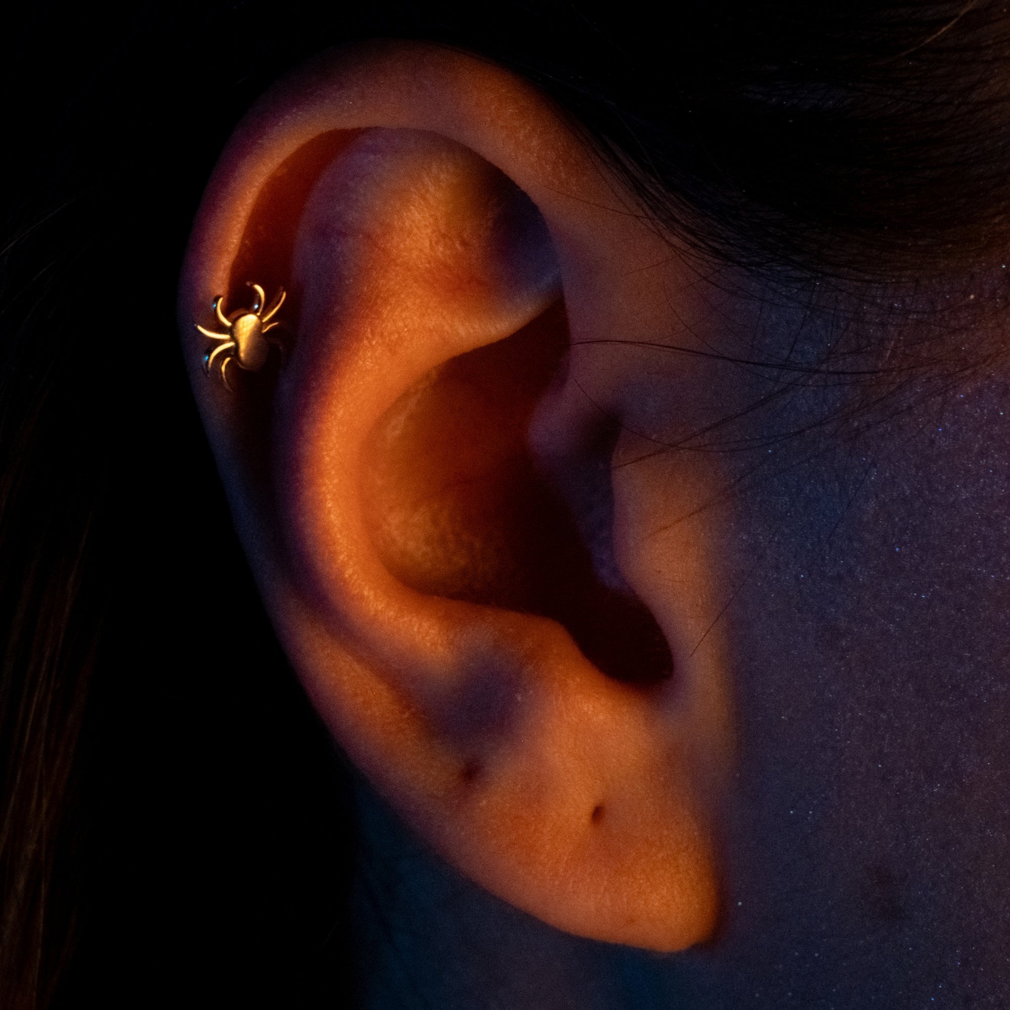 Örümcek Piercing | 14 Ayar Altın