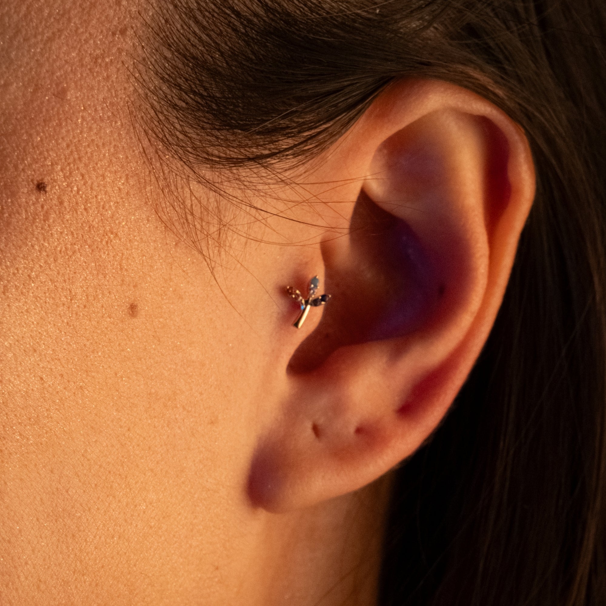 Renli Taşlı Dal Piercing | 14 Ayar Altın