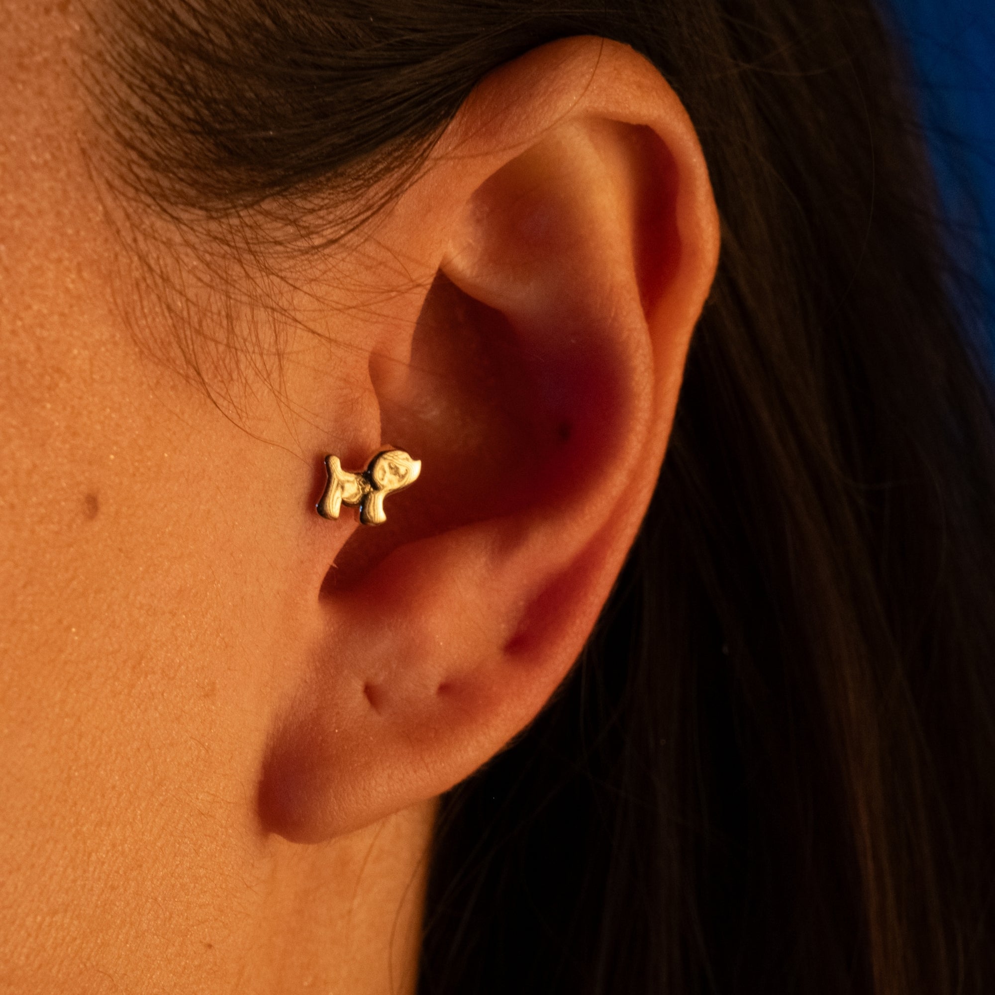 Köpek Piercing | 14 Ayar Altın
