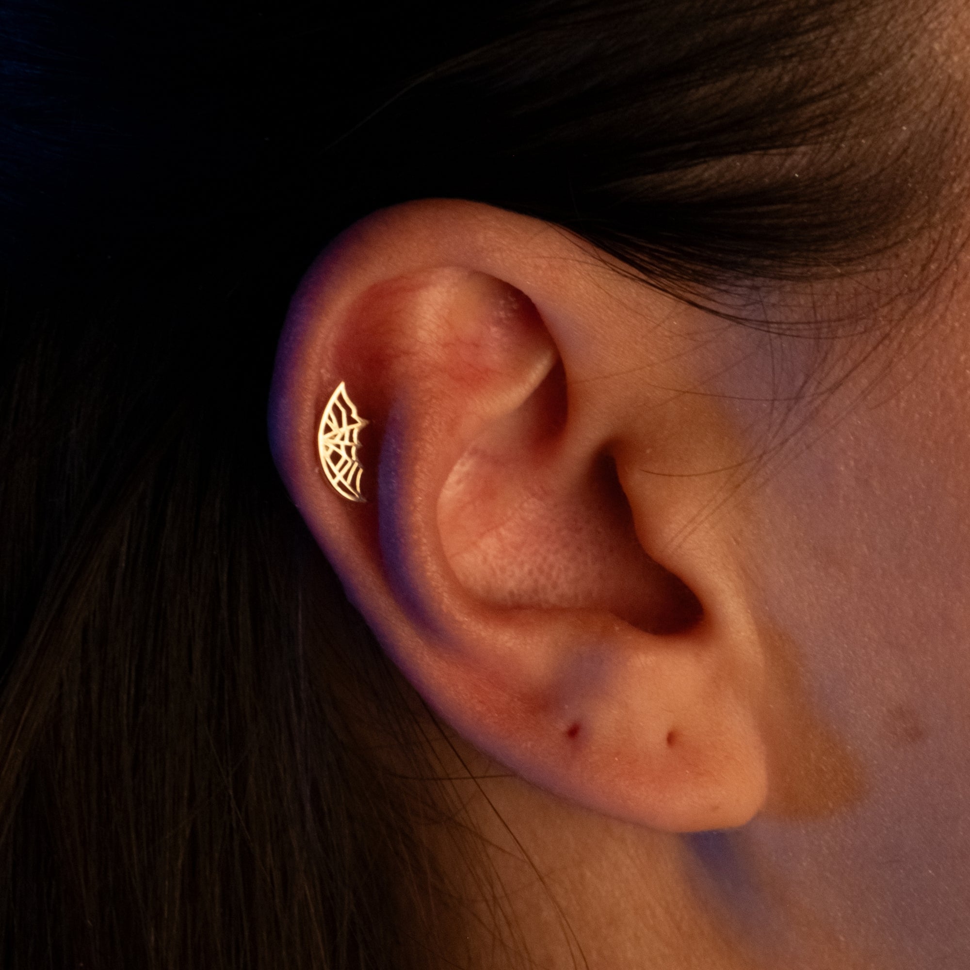 Örümcek Ağı Piercing | 14 Ayar Altın