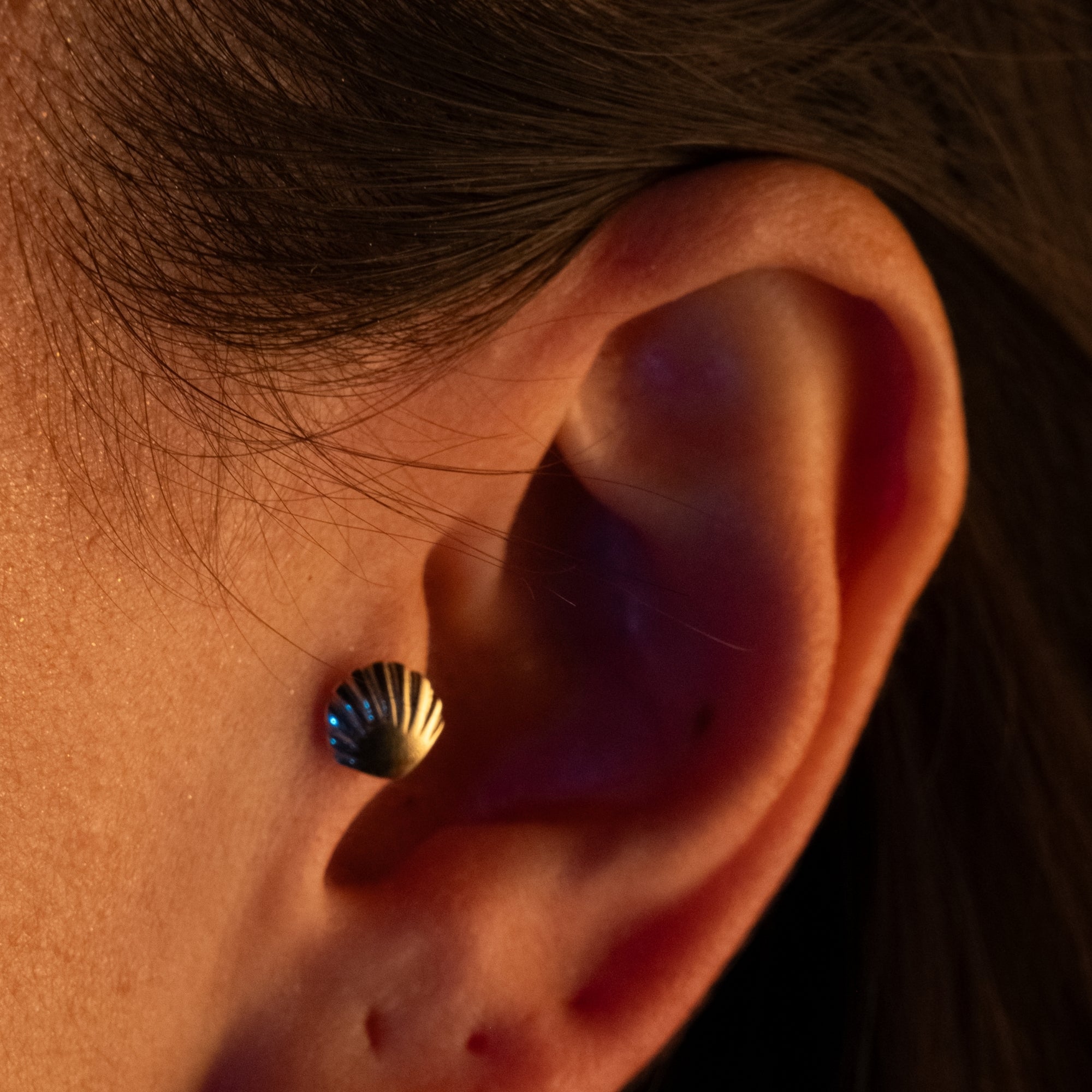 Deniz Kabuğu Piercing | 14 Ayar Altın