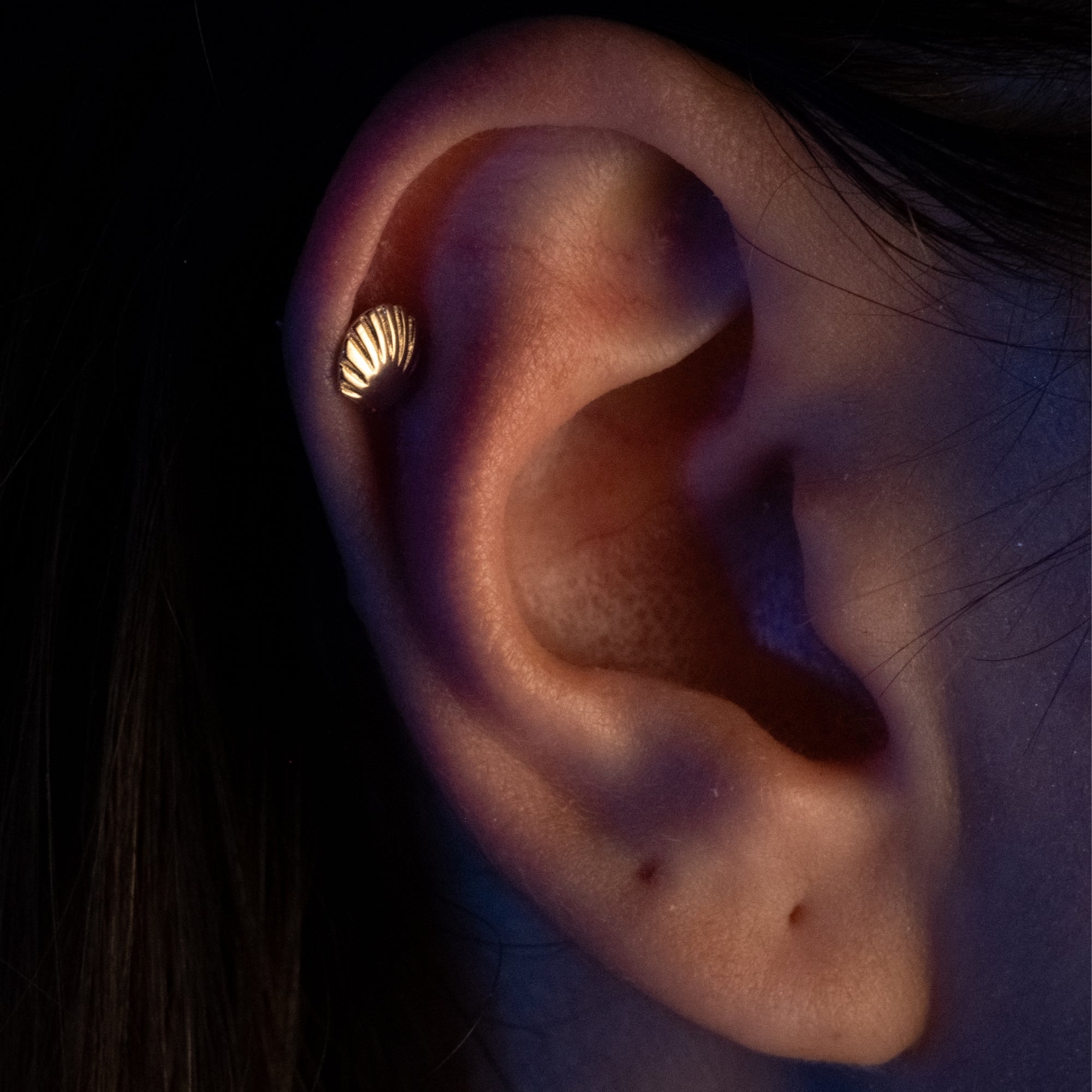 Deniz Kabuğu Piercing | 14 Ayar Altın
