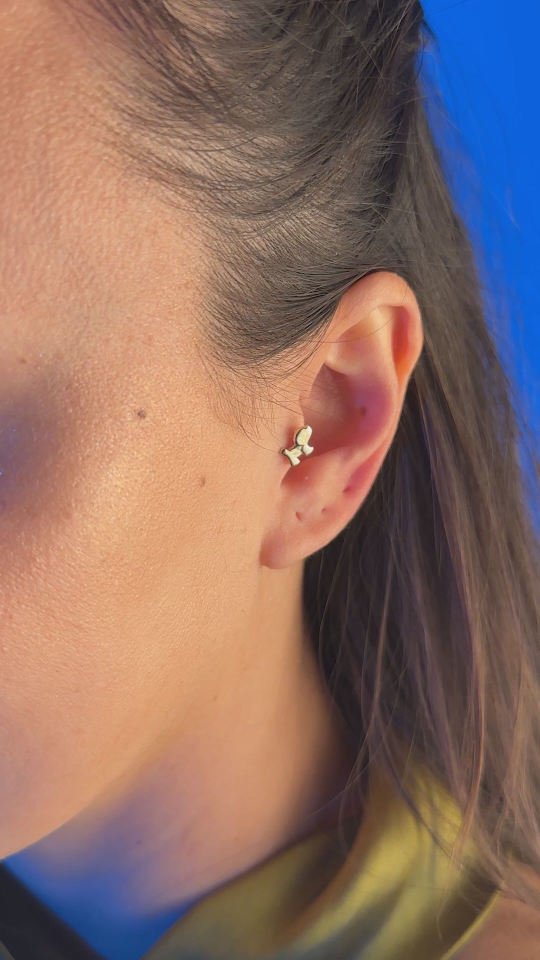 Köpek Piercing | 14 Ayar Altın