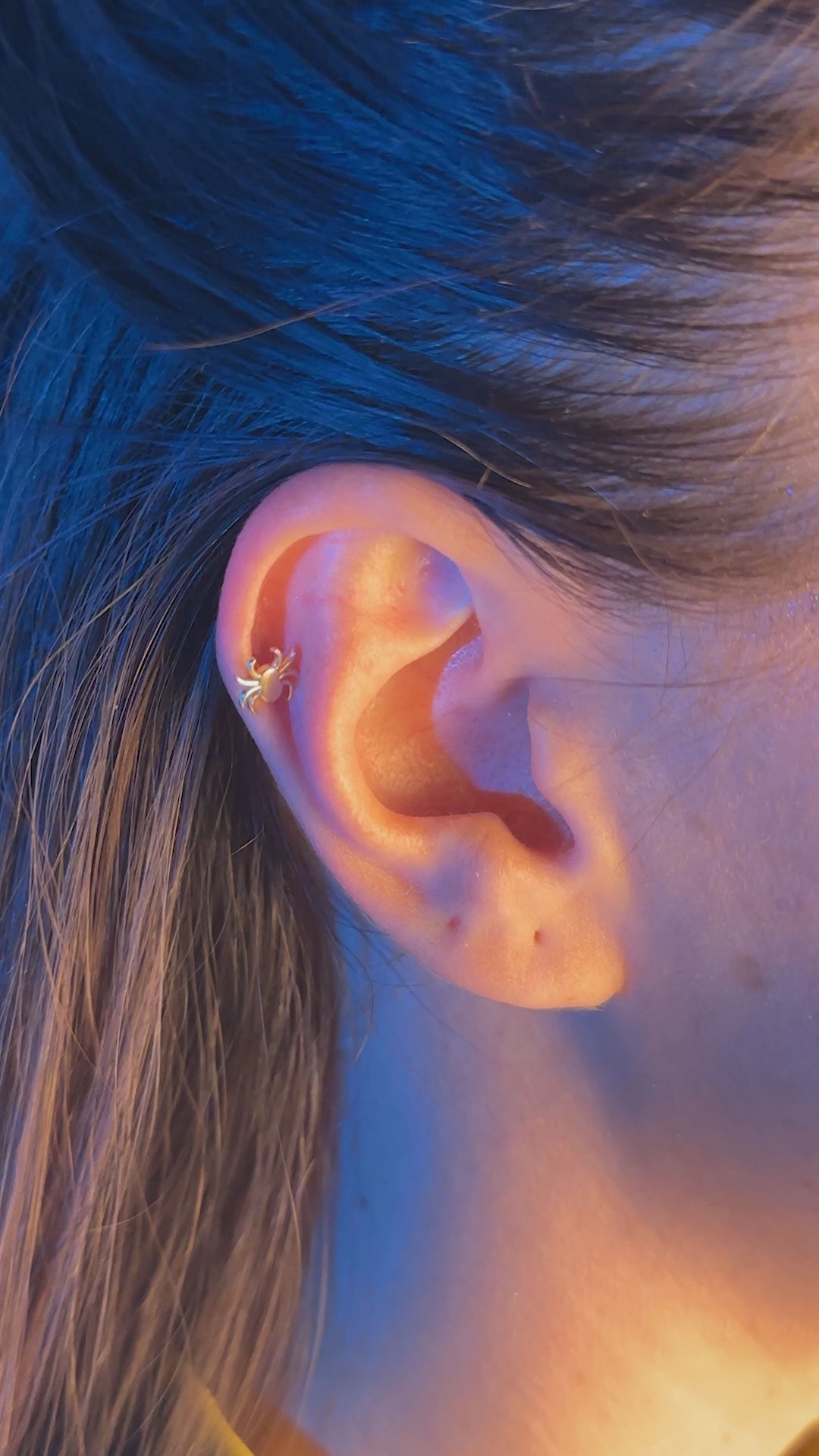 Örümcek Piercing | 14 Ayar Altın